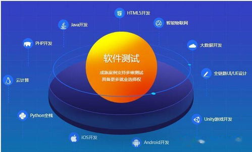 建立高效的軟件測試管理體系 技術(shù)推廣與實(shí)施指南